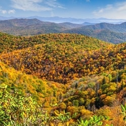 Apex, North Carolina